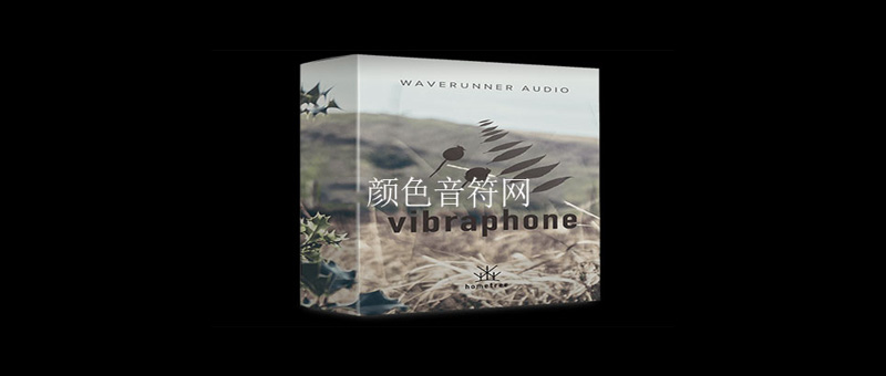 ɫ-Waverunner Audio Rosehip Vibes.jpg