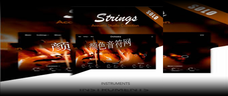 ֶ-Muze Strings Solo.jpg