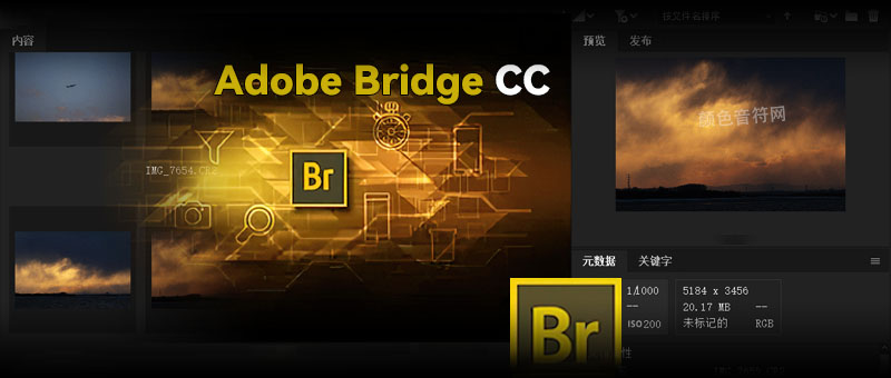 Adobe Bridge CC.jpg