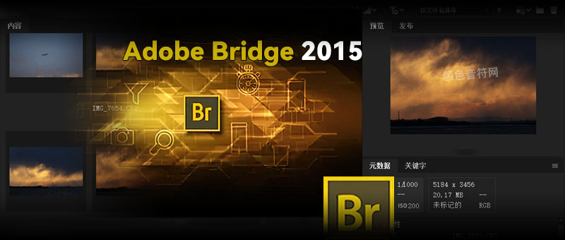 Adobe Bridge 2015.jpg