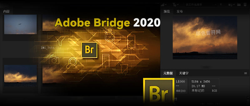 Adobe Bridge 2020.jpg