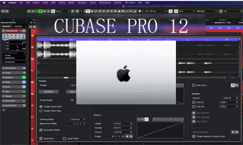 Cubase Pro 12-mac苹果版