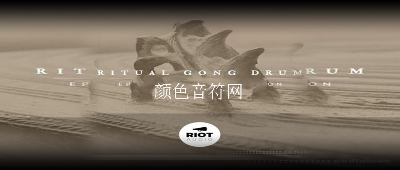 ̩Ĵʵͭ-Riot Audio Ritual Gong Drum.jpg