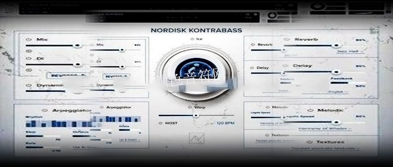 ϳɫ-Have Instruments NORDISK KONTRABASS.jpg