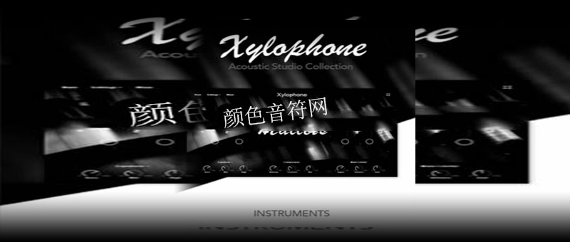 ľԴ-Muze Xylophone.jpg