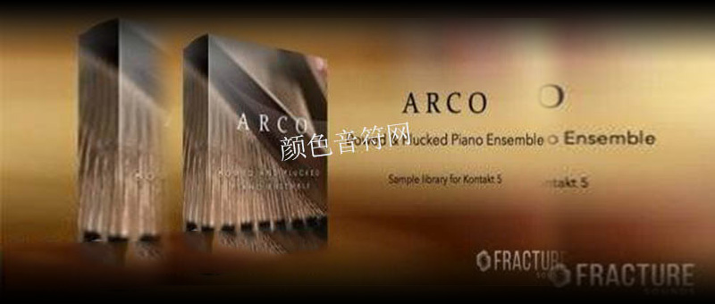 ֻԴ-Fracture Sounds ARCO Bowed and Plucked Piano Ensemble.jpg