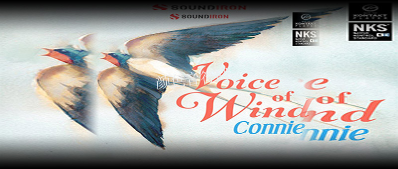 ֮ŮԴ-Soun- Voice of Wind Connie.jpg