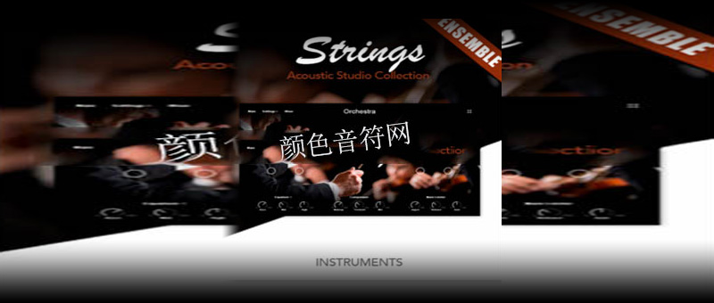 ֺ-Muze Strings Ensemble.jpg