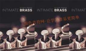 专业级录音室铜管 8dio Intimate Studio Brass-kontakt